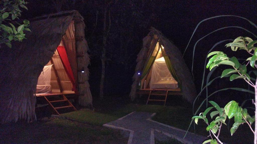 Zahrada ubytování Centro Ananda Tipi
