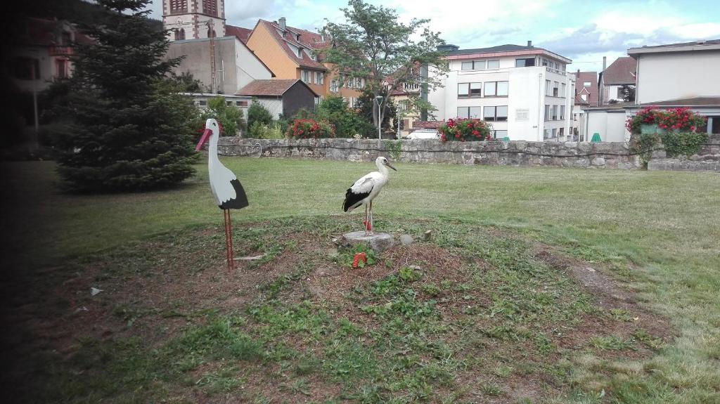 Mobilhome convivial en Alsace – photo 23