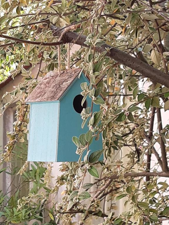 une maison d'oiseaux bleue avec un trou dans un arbre dans l'établissement Studio Trocadero 2p coté jardin, à Rosny-sous-Bois