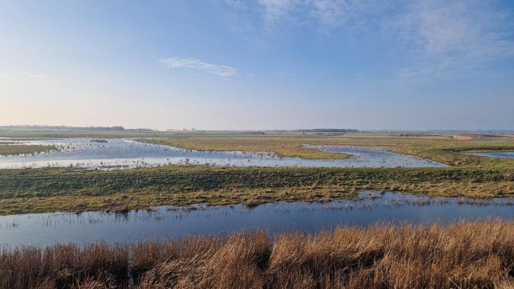 a field with two channels of water and grass at Minster Leas in Sheerness