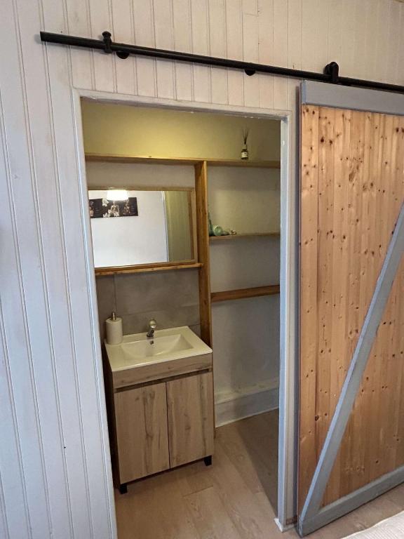 une salle de bain avec un lavabo et un miroir dans l'établissement Résidence proche des plages , route de loctudy, à Pont-lʼAbbé