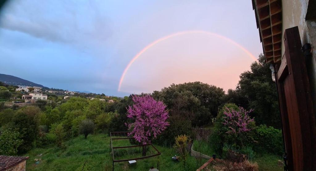 un arc-en-ciel au-dessus d'un champ arboré dans l'établissement Nice studio surrounded by nature!, à Grasse