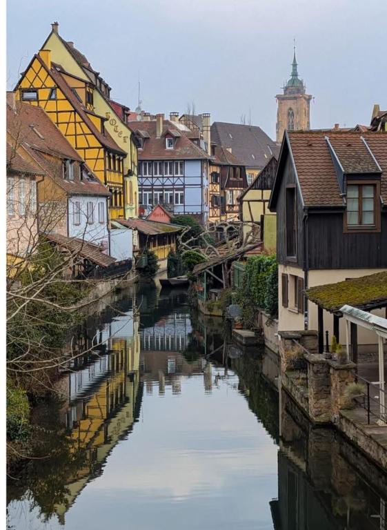 Au Vieux Porche Colmar – photo 20