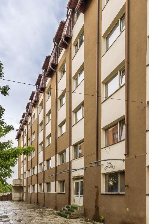 an external view of a building at Hotel Jolie in Brazii de Sus