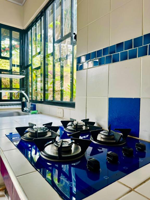 Kuchyň nebo kuchyňský kout v ubytování Finca Anapoima - Villa Paty