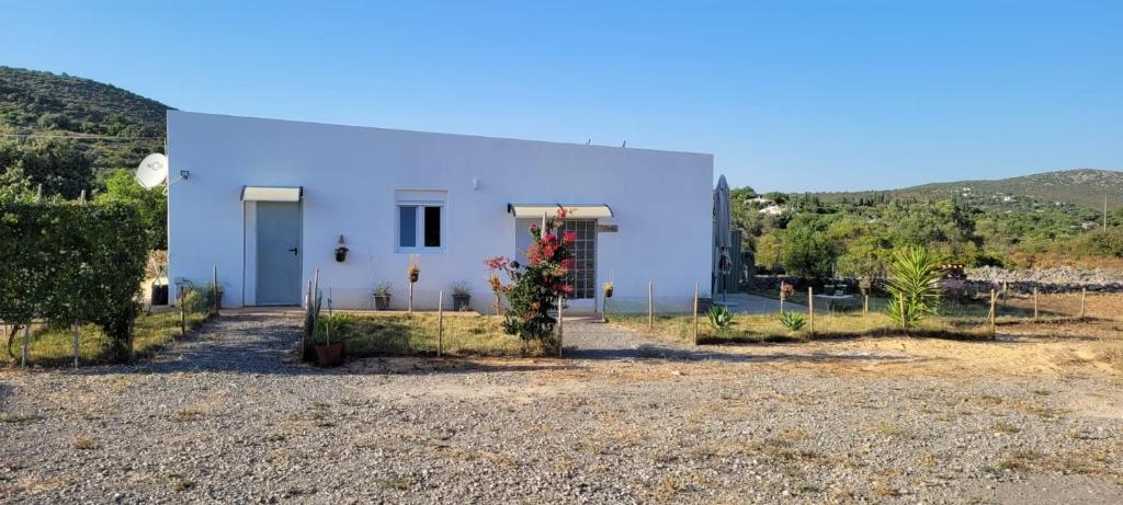 a white house in the middle of a field at Sítio da Cornucópia Casa Principal in Moncarapacho