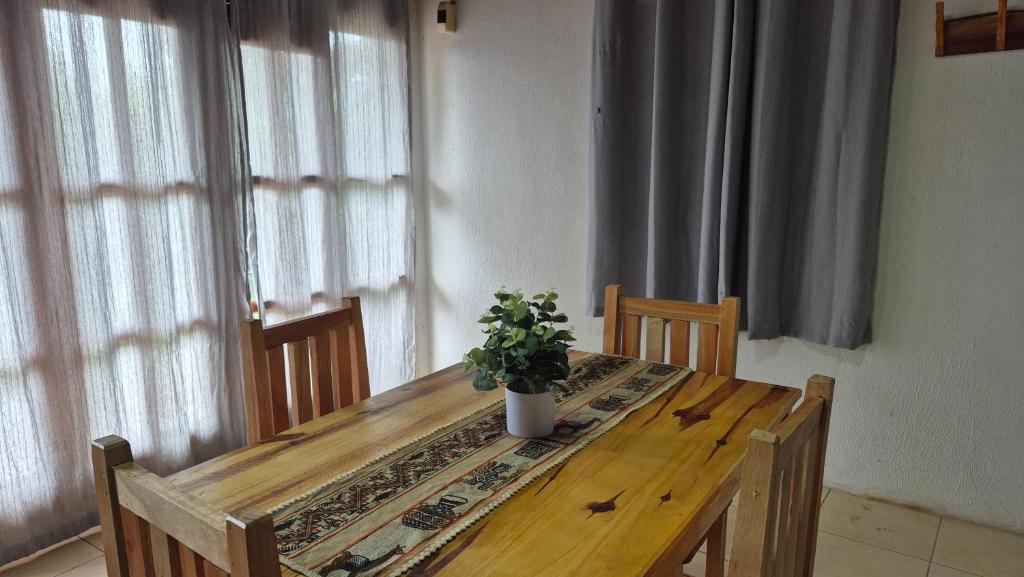 a dining room table with a potted plant on it at Departamentos Puerto Esperanza in Puerto Esperanza