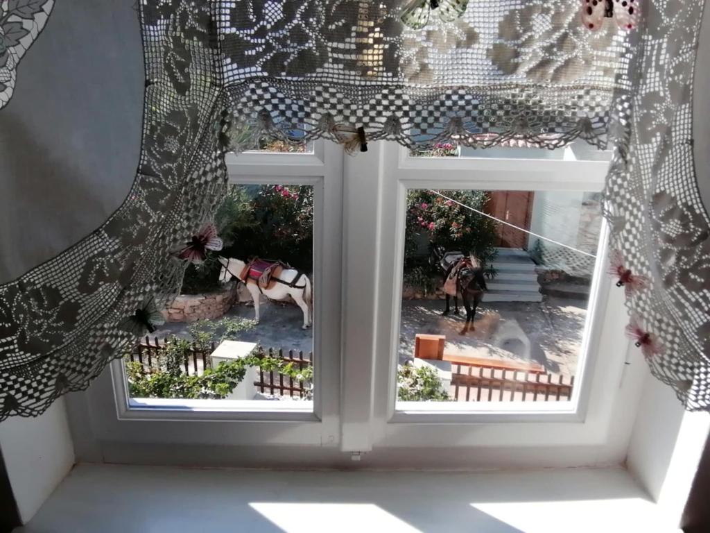 Zahrada ubytování Tsitsinakis Traditional Home