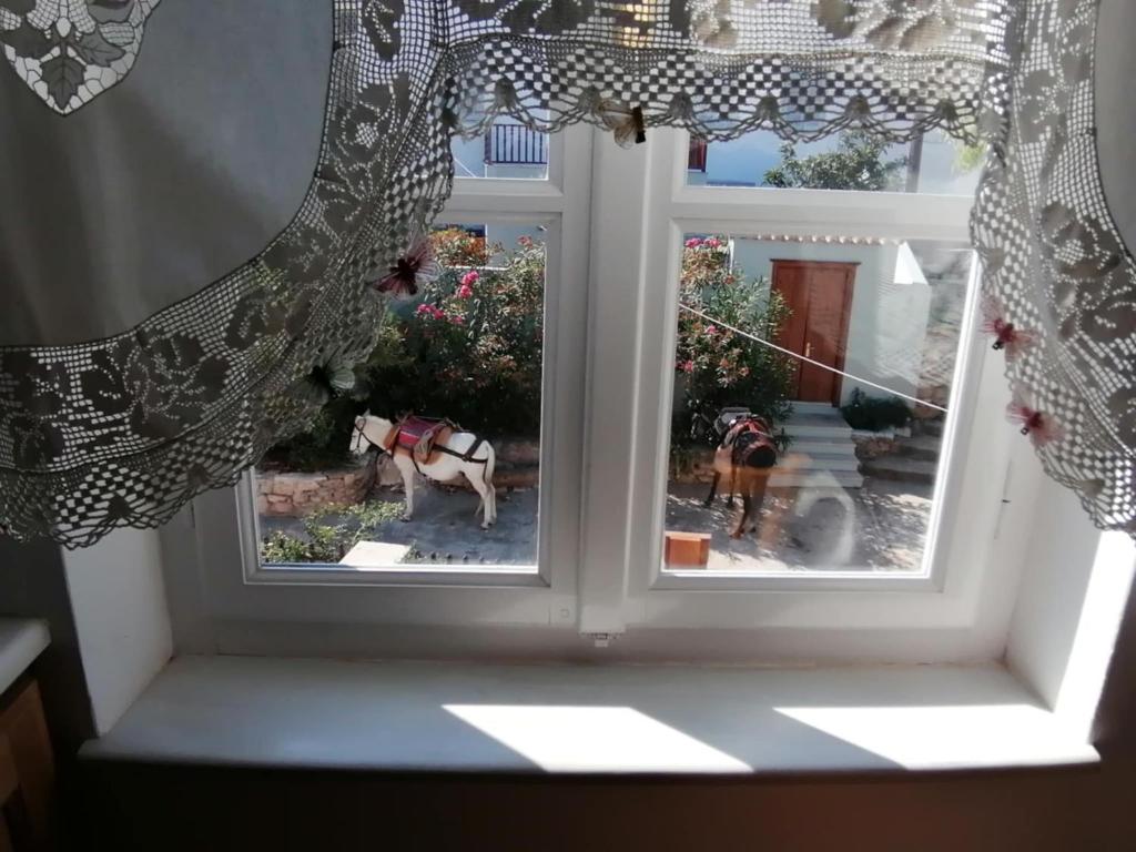 Fotografie z fotogalerie ubytování Tsitsinakis Traditional Home v destinaci Hydra