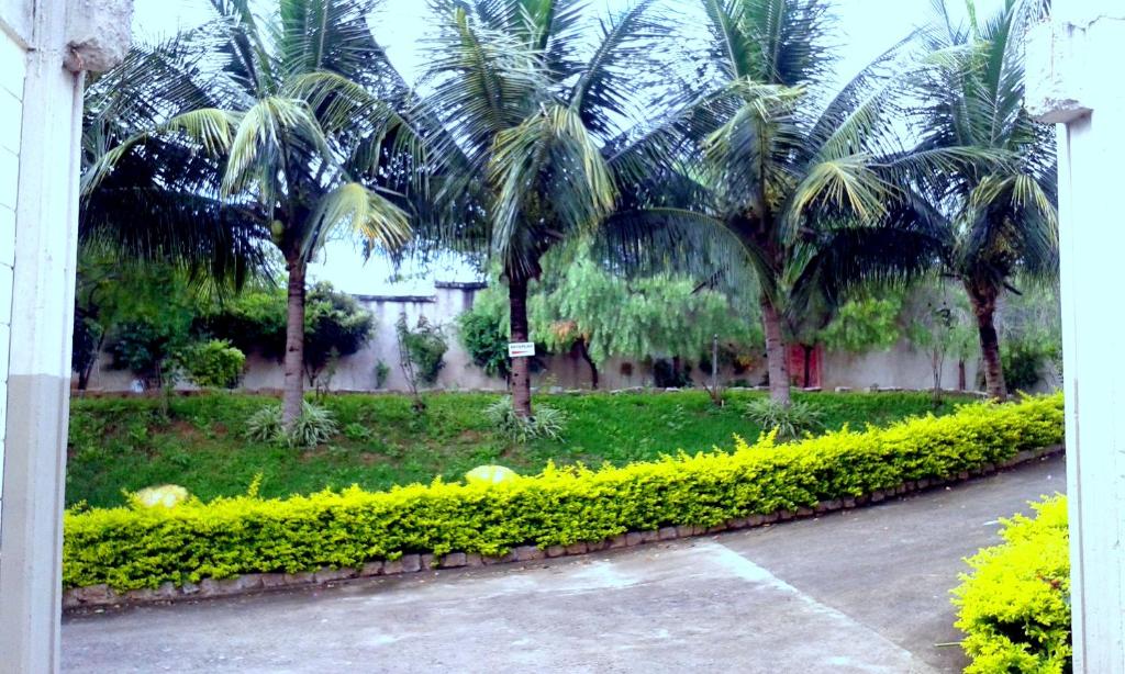  Hotel Eden
