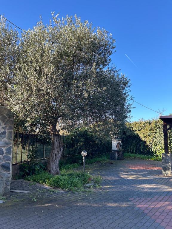 a tree sitting next to a fence with a parking meter at Rural Apartment 44 in Alghero