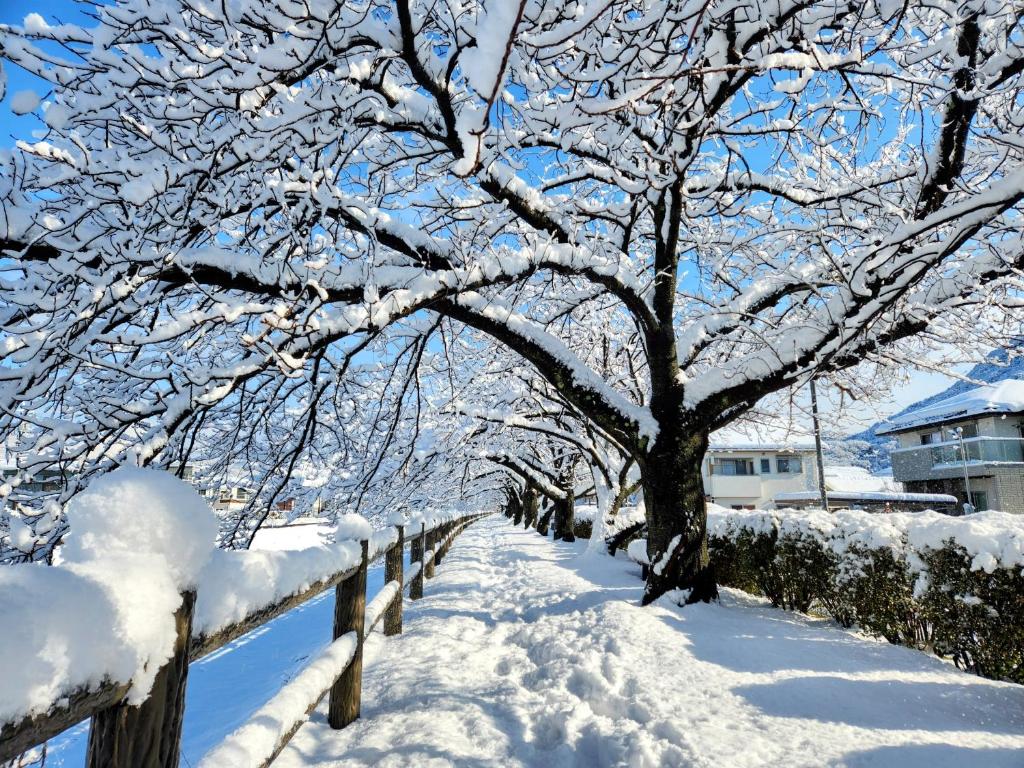 Whole house rental 一棟貸切宿 "Your Home Tottori" 市内中心地近くの素敵な一軒家 v zimě