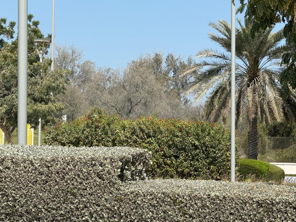 Villa 20Fadel外面的花园