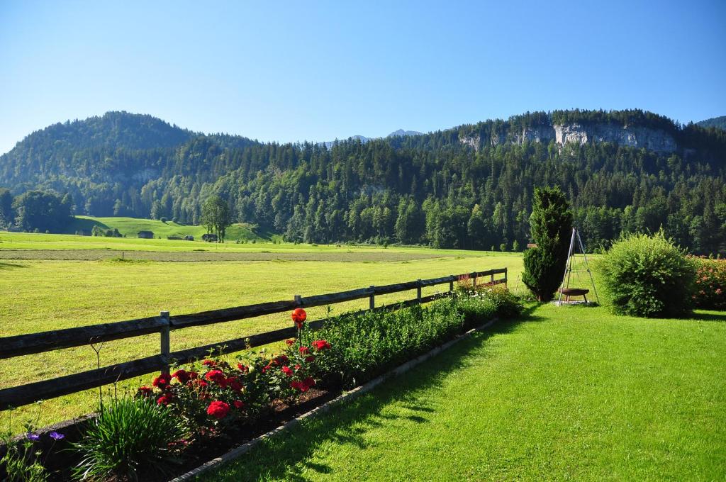 Příroda nedaleko apartmánu