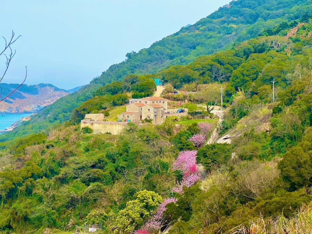 芹壁山莊民宿評價、貓咪療癒體驗、海景美景、機場接送服務 – 貓奴天堂與制高點美景 - 照片 19