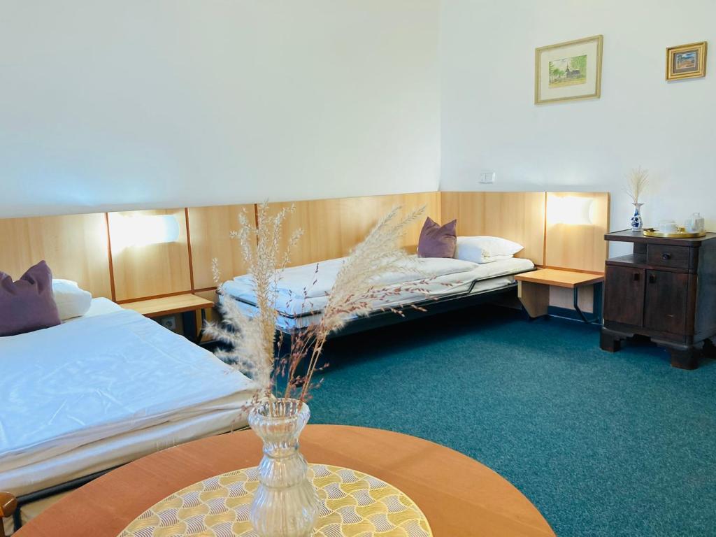 Penzion Hotelu Central - 17