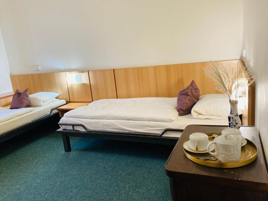 Penzion Hotelu Central - 18