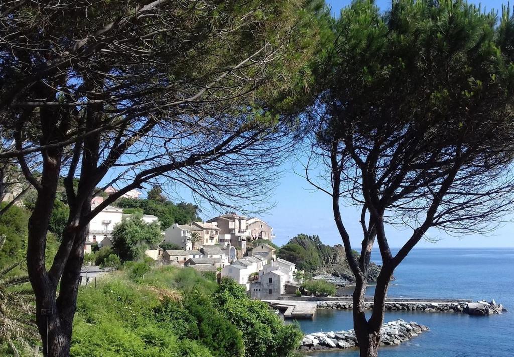 a group of houses on a hill next to the water at Maison à Porticciolo, idéale pour un couple in Cagnano