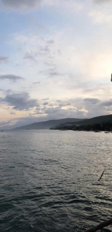 Φυσικό τοπίο κοντά σε αυτό το κάμπινγκ