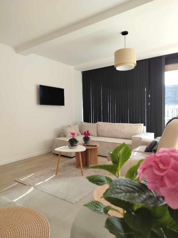 TV a/nebo společenská místnost v ubytování Sealor, zonnig appartement met ruim terras