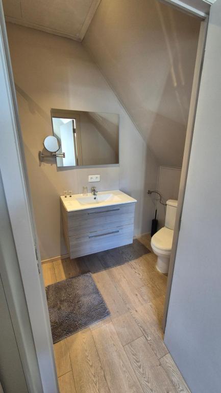 Koupelna v ubytování B&B De Dulle Koe