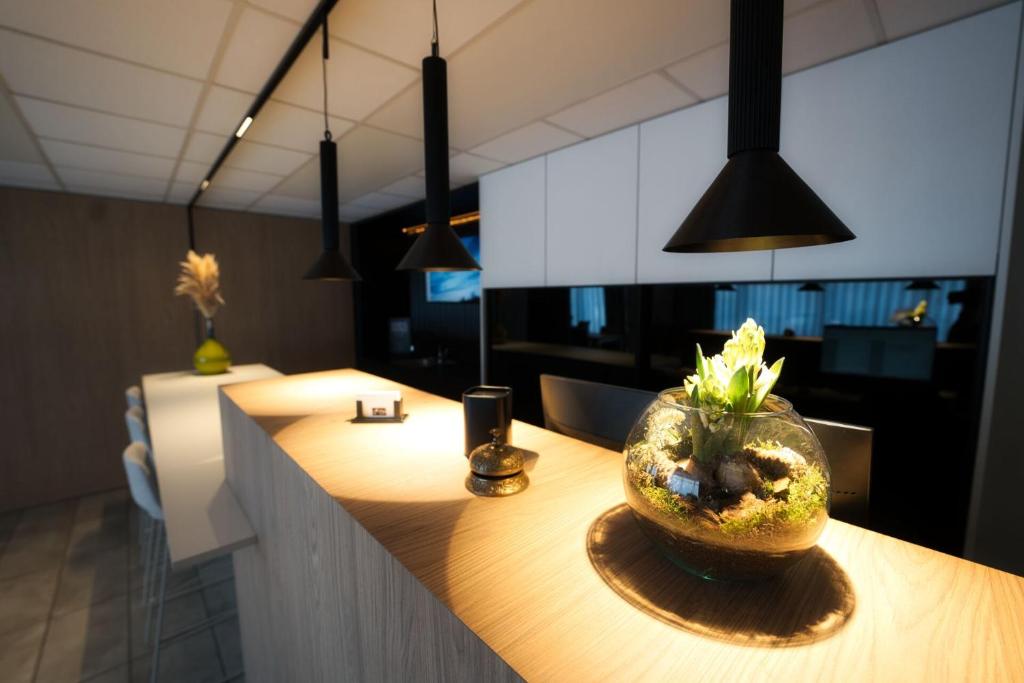 Fotografie z fotogalerie ubytování Logis Restaurant & Hôtel À la 12 v destinaci Delme