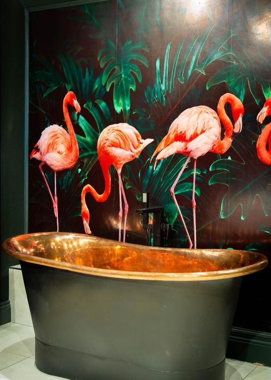 
Flamingo - (One Bedroom Apartment)
