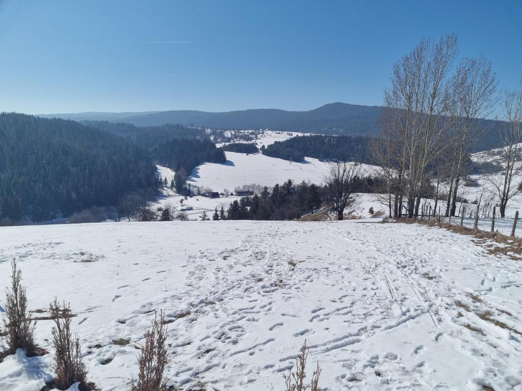 Příroda nedaleko apartmánu