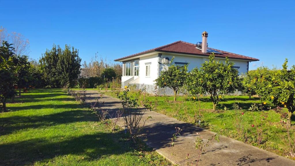 Rrozhani House