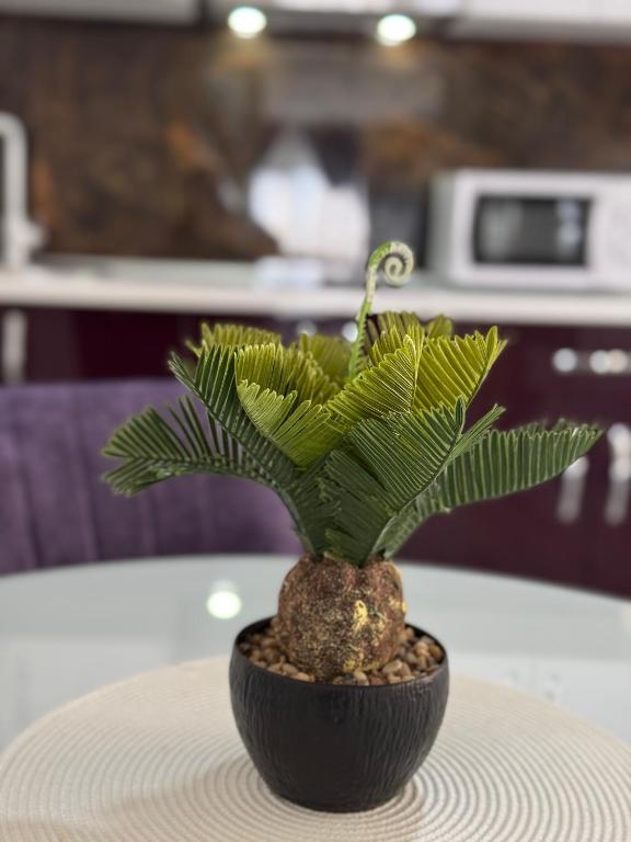 Relax House Apartments - Resim 24