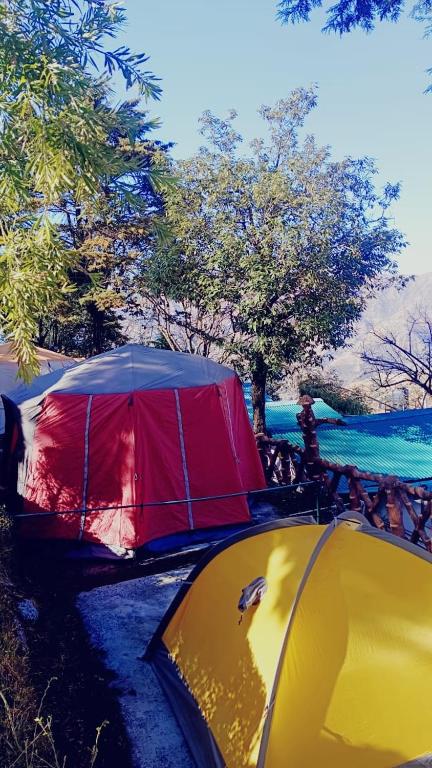 Příroda nedaleko luxury tent