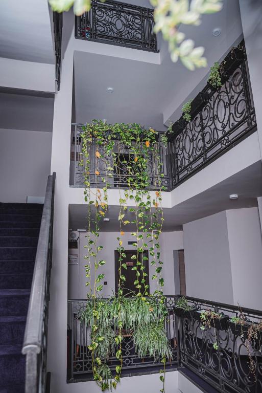 Hotel Aloha - Resim 7