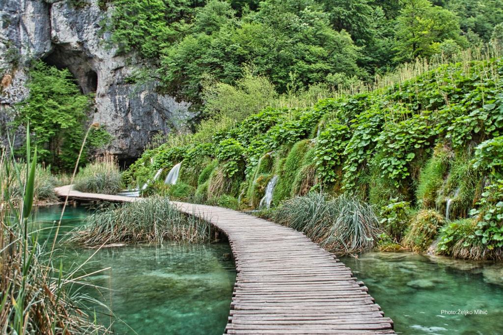 Family Resort Plitvice Lakes - 7