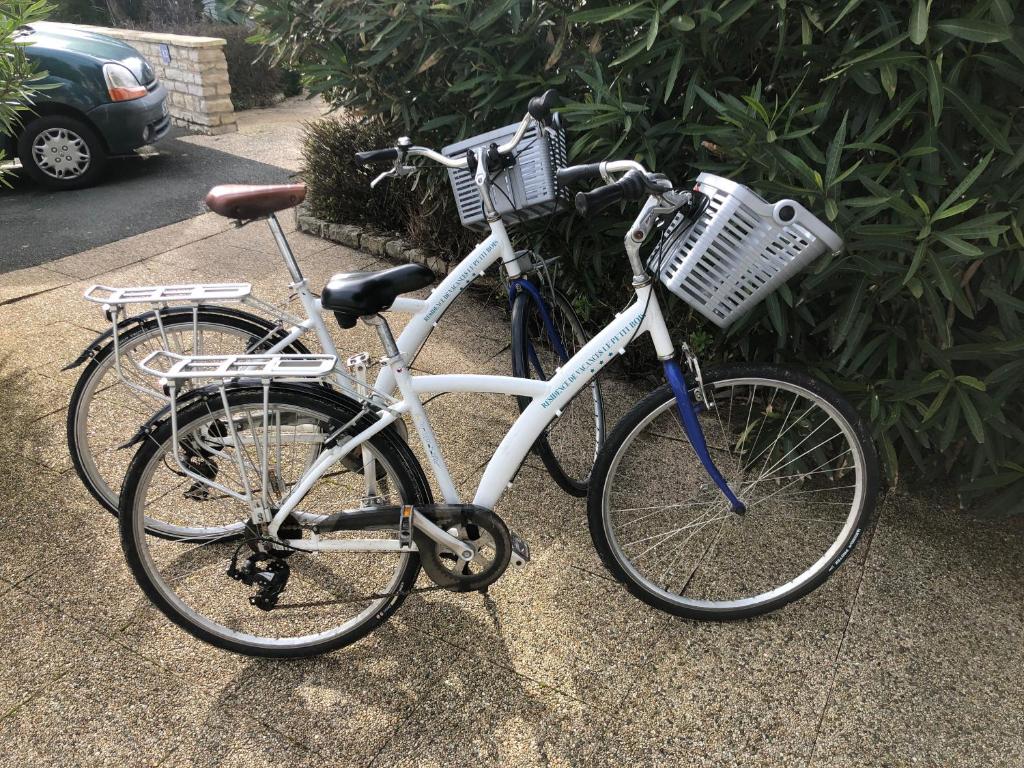Ciclismo em Le Petit Bois ou nos arredores