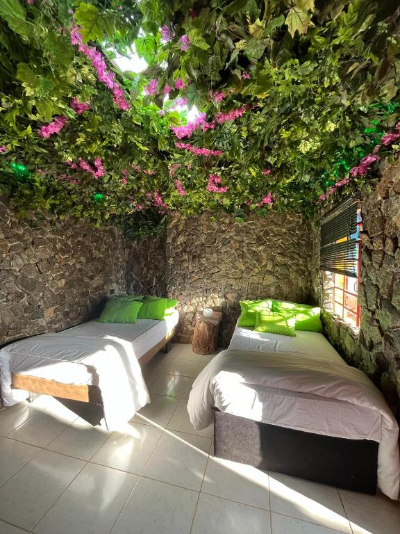 Zahrada ubytování Glamping Spa & Coffee Tour