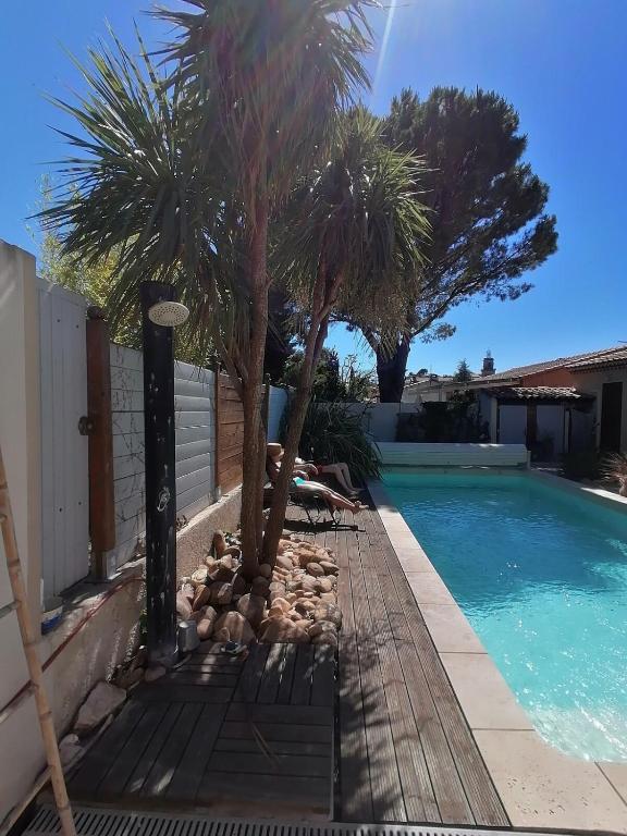 - une piscine bordée de palmiers dans l'établissement villa climatisée piscine cuisine été alpilles provence, à Eyguières