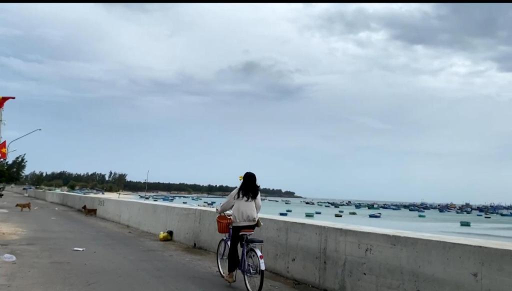 Hosté ubytování Hoa Nắng homestay