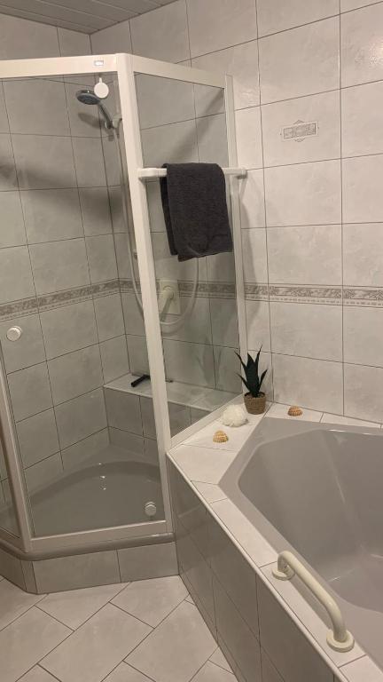 Koupelna v ubytování Apartment Traumzeit
