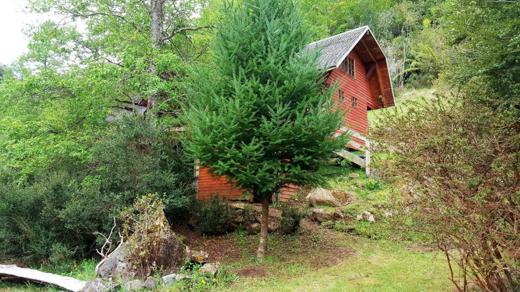 Lodge Altos de Curarrehue