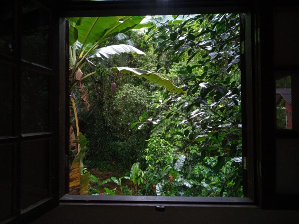 a window view of a lush green garden at Chalé Recanto da Cachoeira in Paraty