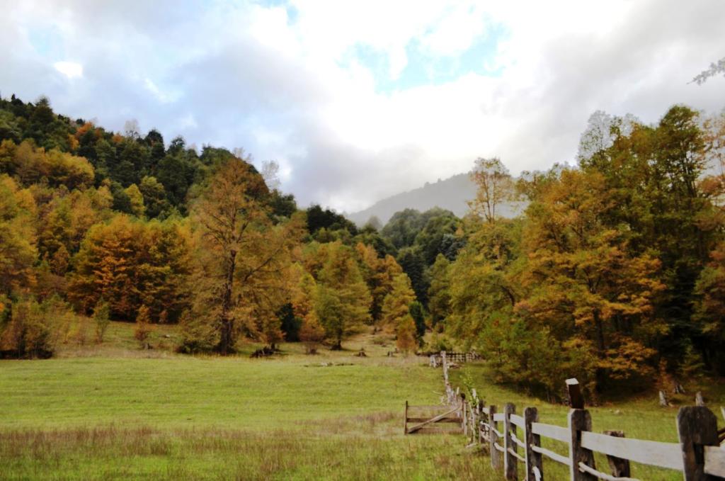 Lodge Altos de Curarrehue