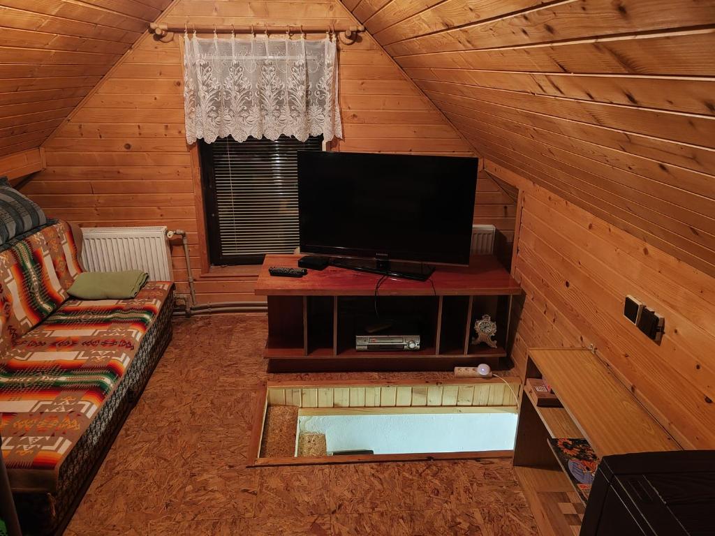 TV a/nebo společenská místnost v ubytování Chalupa Dubková