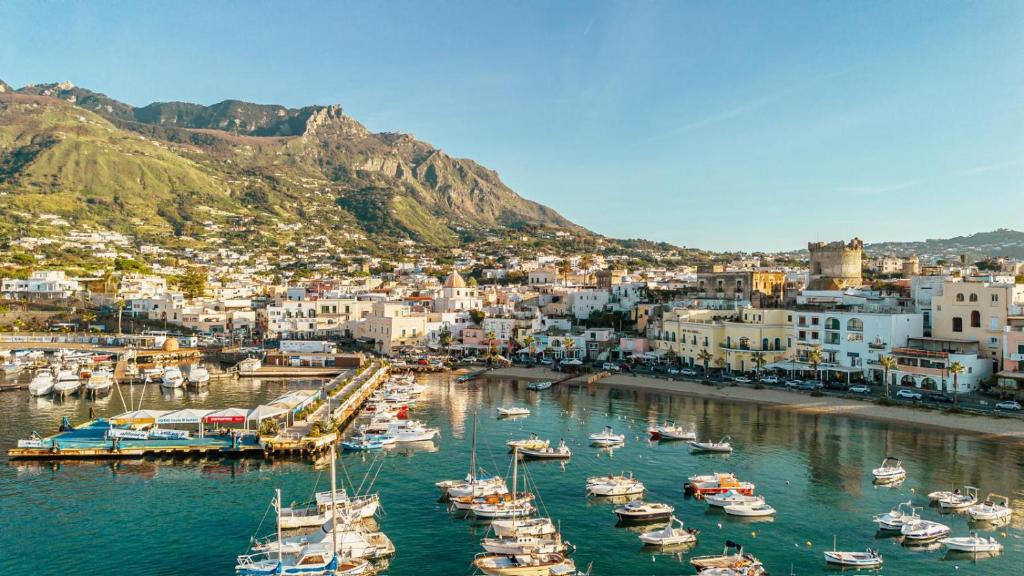 grupa łodzi w wodzie w porcie w obiekcie Hotel Terme Zi Carmela w mieście Ischia