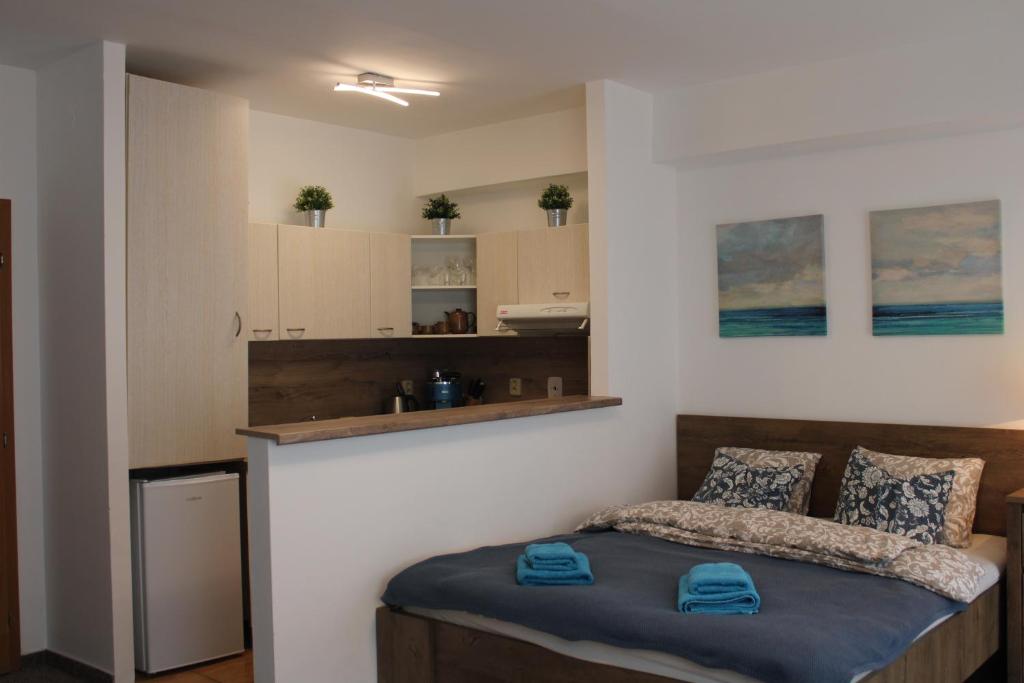 Kuchyň nebo kuchyňský kout v ubytování Jáchymov Blue Apartment