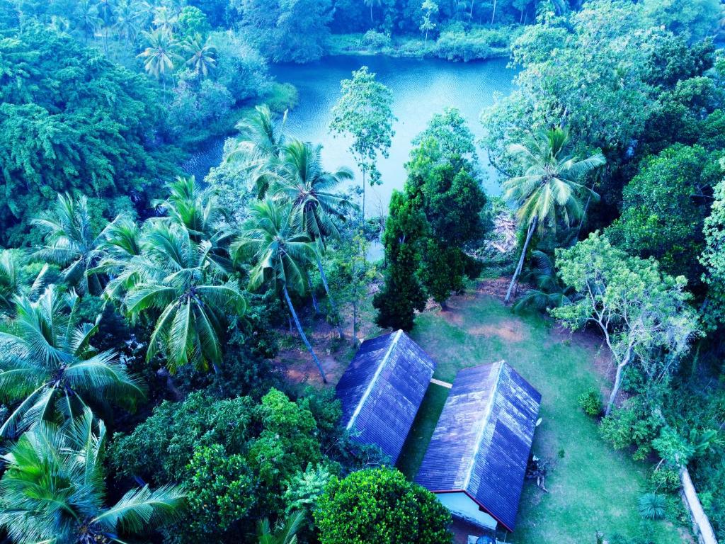 an aerial view of a jungle with trees and a river at Walawe Palm Villa in Udawalawe