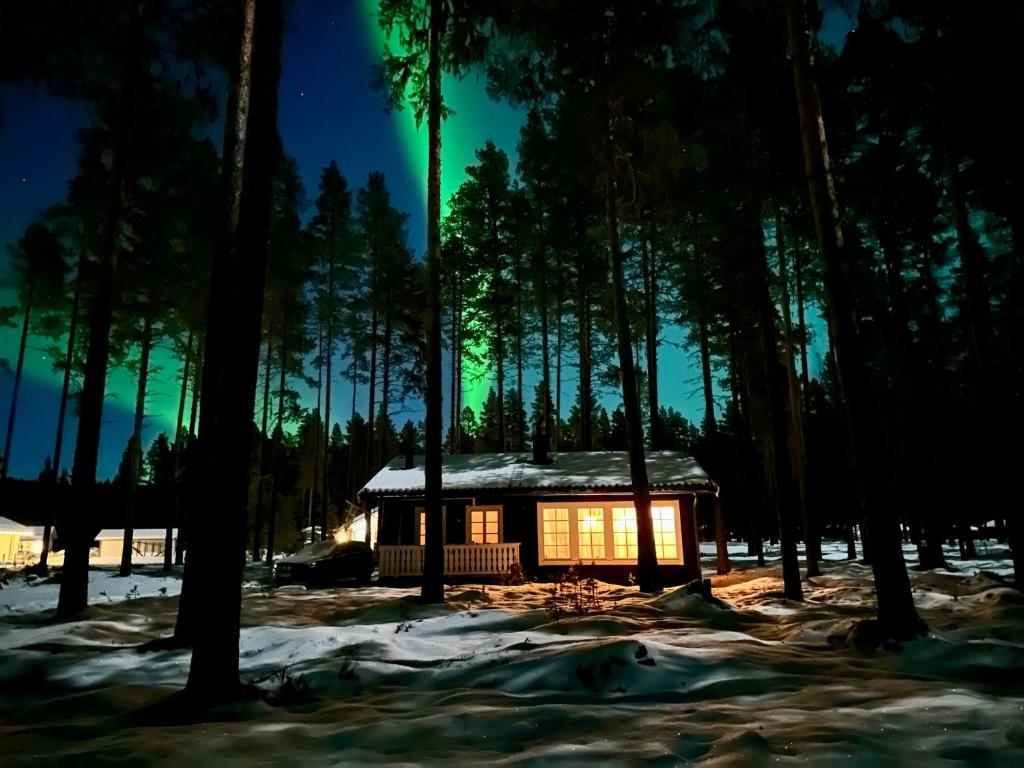 een hut in het bos 's nachts met groen licht bij Sunshine Stuga Mörtsjön in Stugun