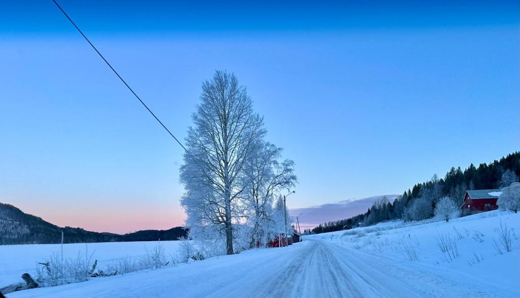 Sunshine Stuga Mörtsjön in de winter