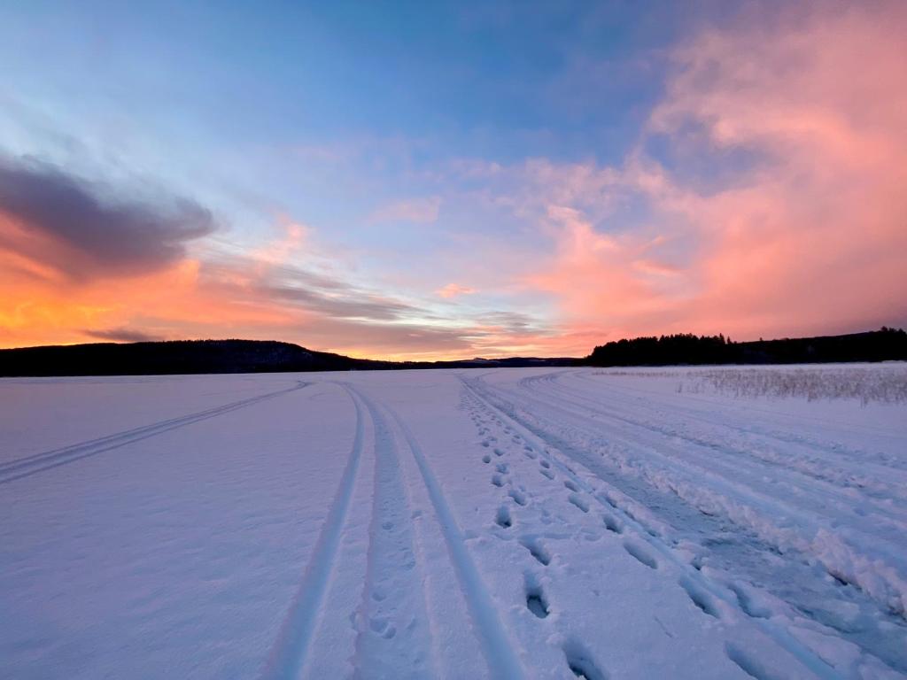 Natuurlandschap vlak bij het vakantiehuis