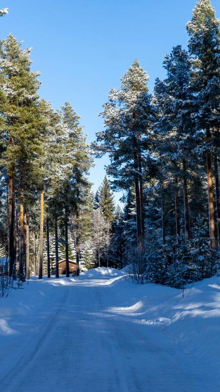 Sunshine Stuga Mörtsjön in de winter