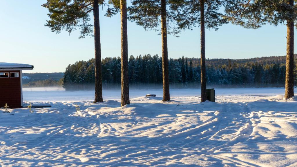 Sunshine Stuga Mörtsjön in de winter